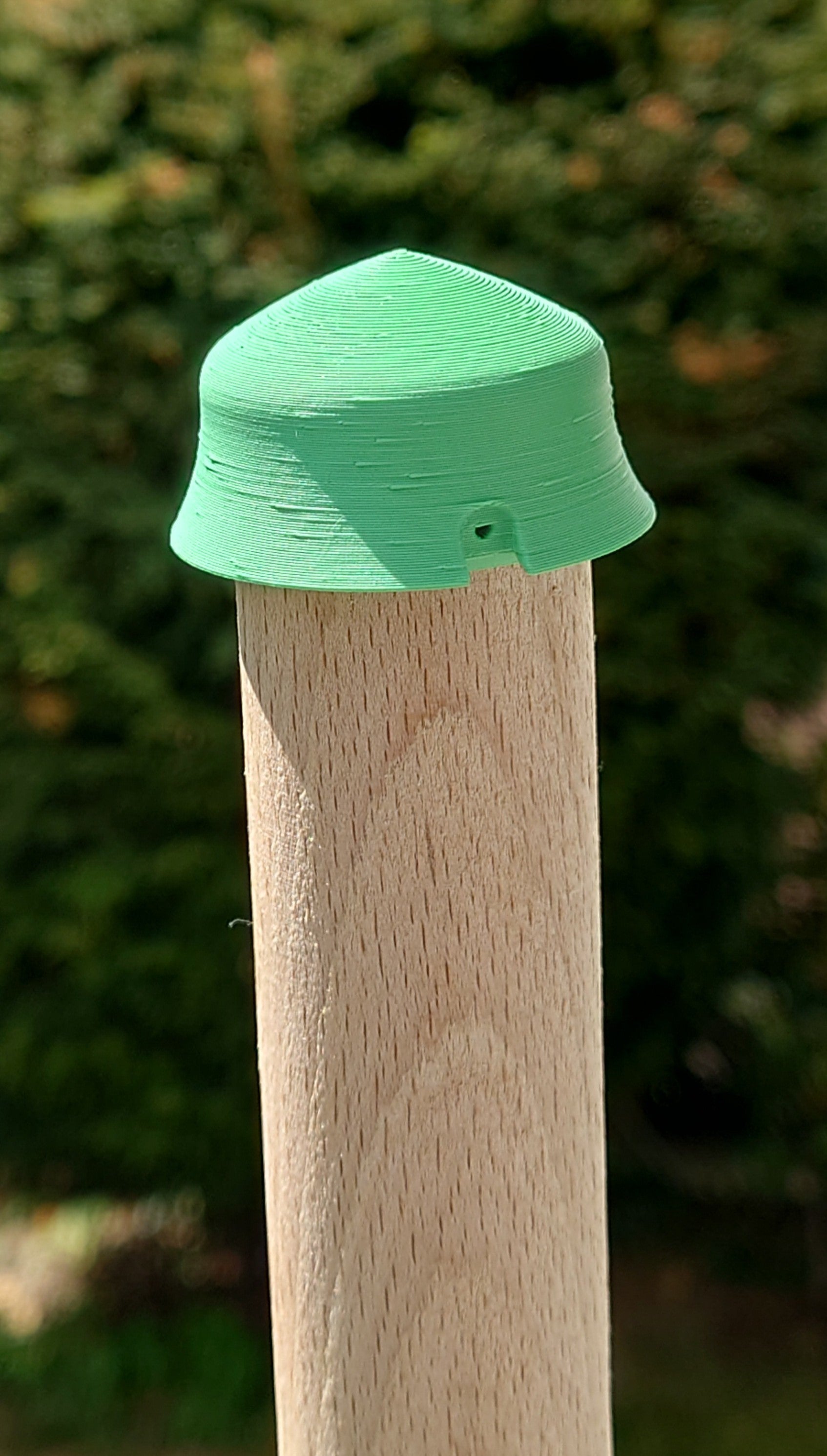 Pfahl-Hütchen